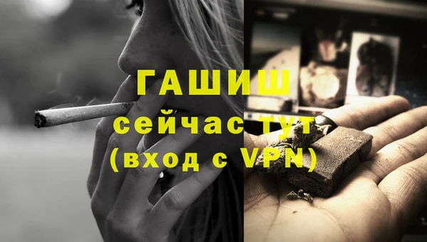 спиды Тавда