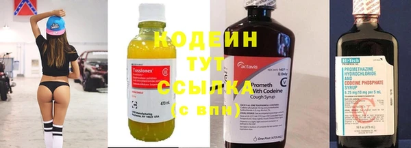 хмурый Вязьма