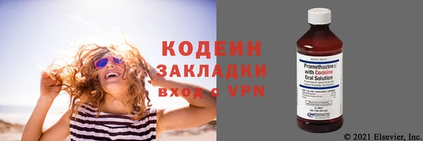 спиды Тавда