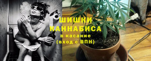 спиды Тавда