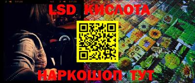 прущие грибы Апшеронск