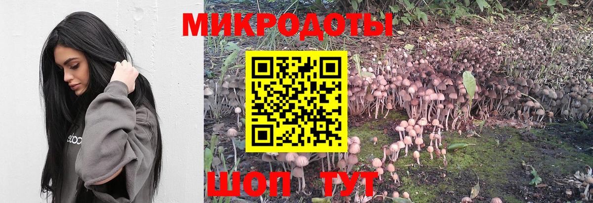 Ангарск  купить наркоту  Вход с VPN  Псилоцибиновые грибы прущие грибы  Псилоцибиновые грибы Cubensis 