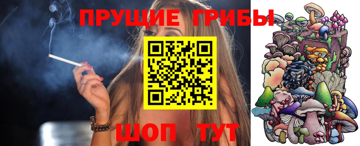 Галлюциногенные грибы Psilocybe Ангарск
